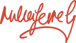 Traced layer